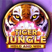 Người chơi lựa chọn game slot phù hợp